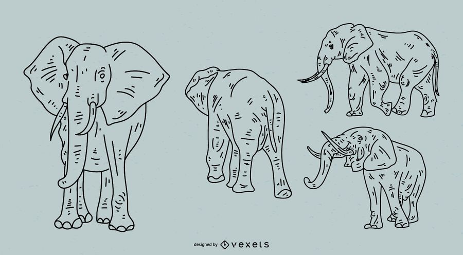 Elephant Stroke Style Set Elephant Stroke Style Set