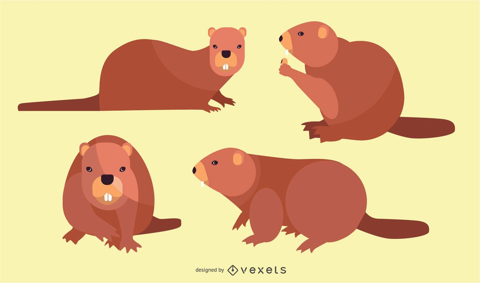 Flat Beaver Illustration Set
