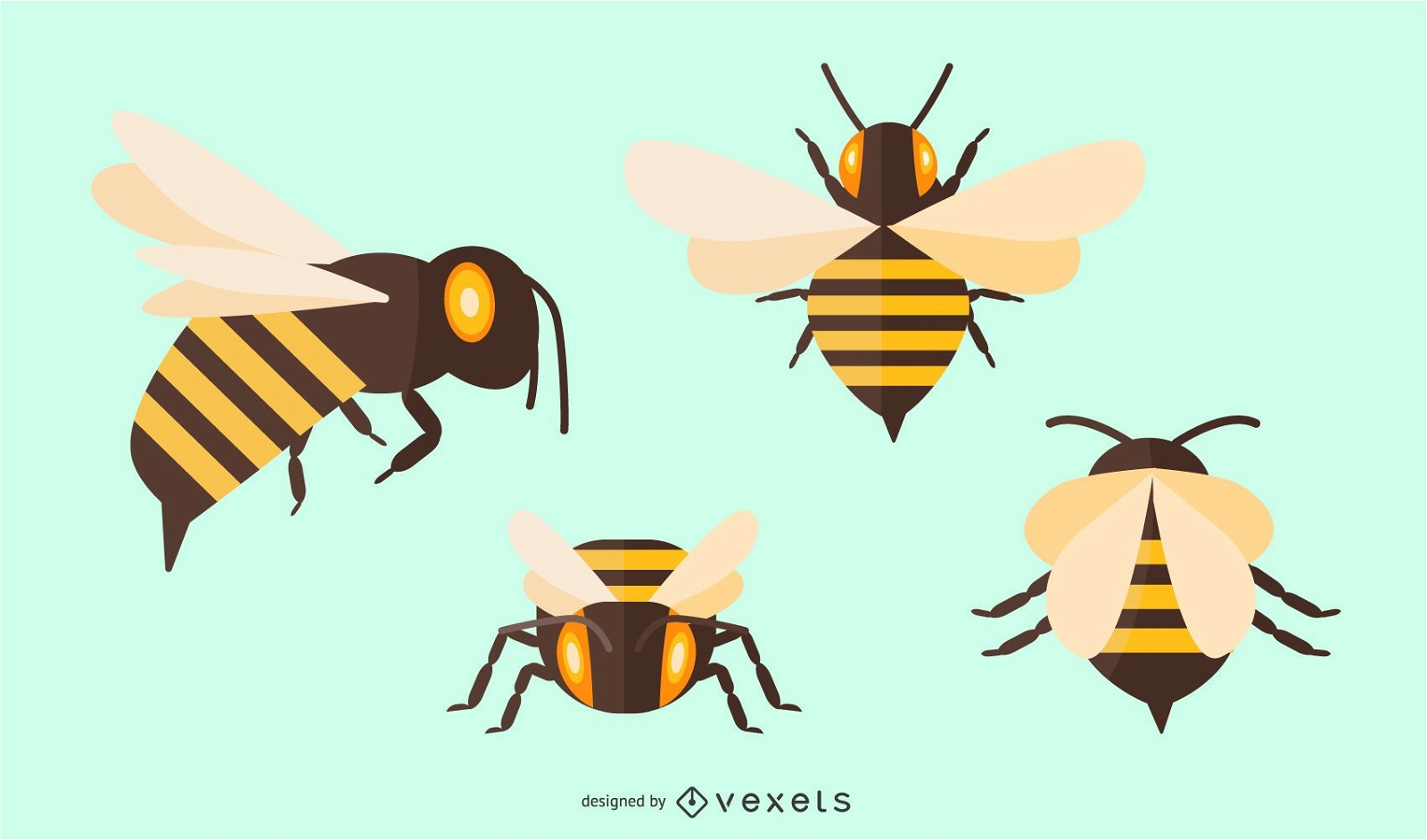 Flat Bee Illustration Set