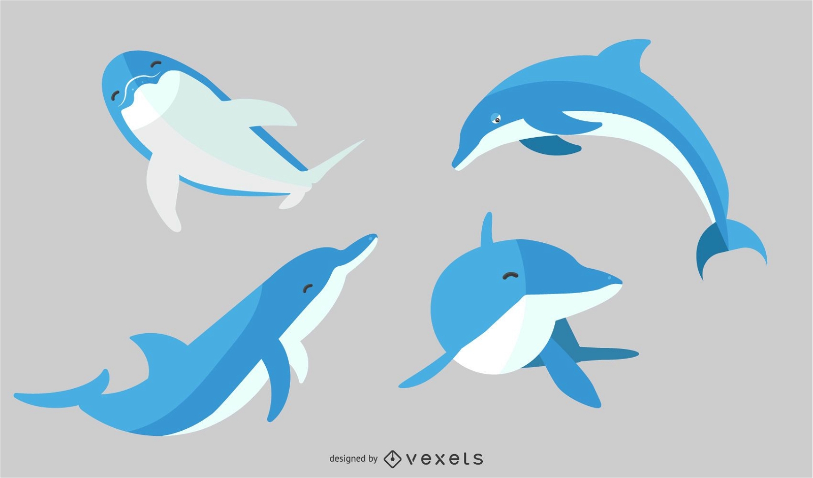 Ilustraci?n plana conjunto de delfines