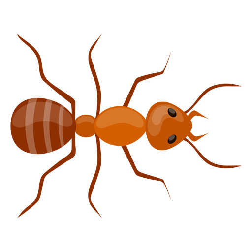 Ameisenfühler Antenne flach PNG-Design