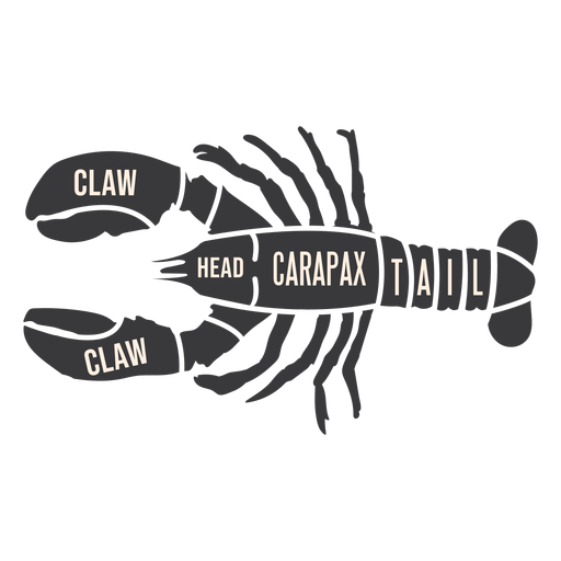 Crawfish Crayfish Lobster Meat Silhouette Transparent Png Svg Vector File