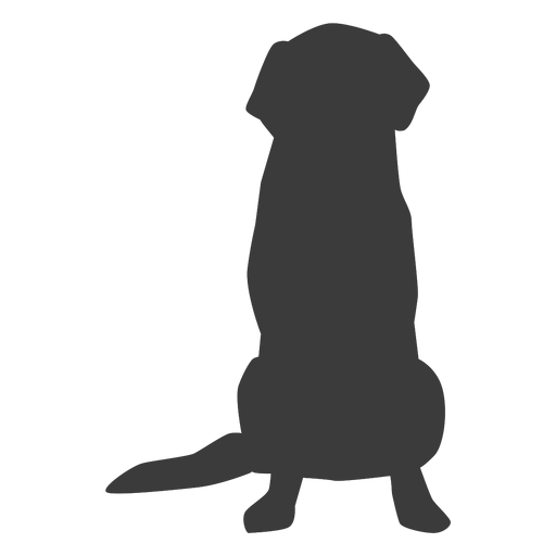 Perro cachorro oreja cola silueta Diseño PNG