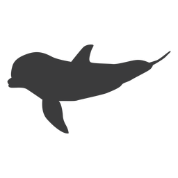 Dolphin flipper tail silhouette animal PNG Design