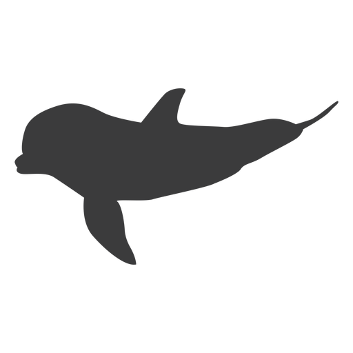 Dolphin flipper tail silhouette animal