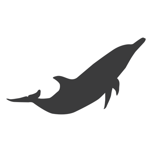 Dolphin tail flipper silhouette animal PNG Design
