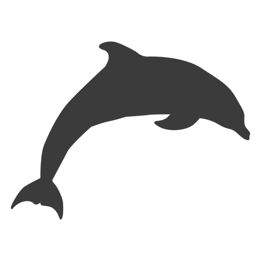 Dolphin tail flipper swimming silhouette