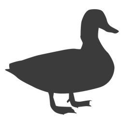 Drake duck wild duck beak silhouette bird Transparent PNG