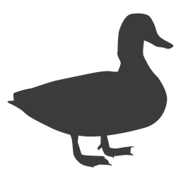 Drake Ente Wildente Schnabel Silhouette Vogel PNG-Design