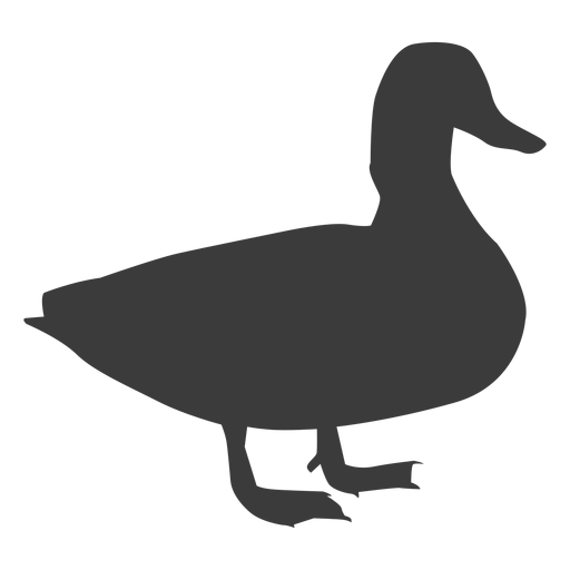 Drake duck wild duck beak silhouette bird PNG Design