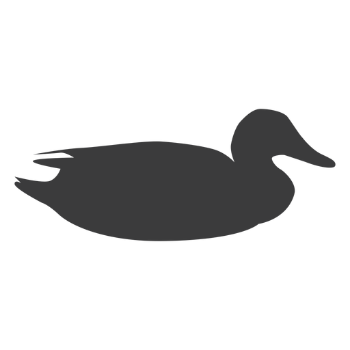 Drake duck wild duck beak water swimming silhouette PNG Design