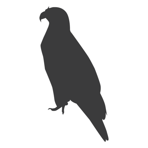 Eagle wing beak talon silhouette