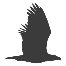 Eagle wing fly flying beak silhouette bird PNG Design
