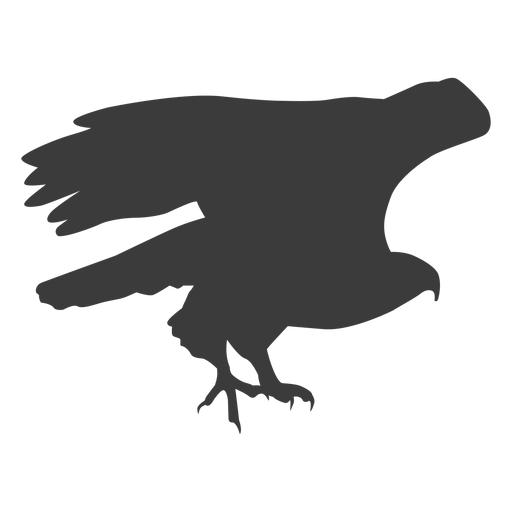 Adlerflügel fliegen fliegen Schnabel Kralle Silhouette Vogel PNG-Design