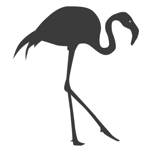 Pássaro silhueta bico de flamingo com perna rosa Desenho PNG