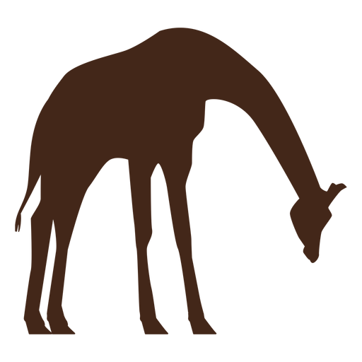 Jirafa cuello alto cola larga osicones silueta