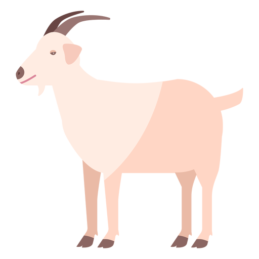 Goat tail hoof horn flat