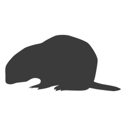 Silueta de cola de hocico de cerdo de tierra de marmota Diseño PNG
