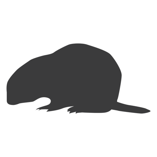 Silhueta de cauda de focinho de porco-da-terra de marmota