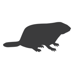 Silueta de hocico de cerdo molido de marmota Diseño PNG