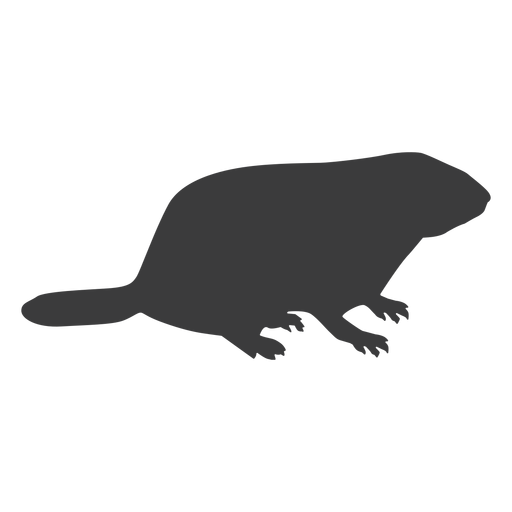 Marmot ground hog muzzle silhouette PNG Design