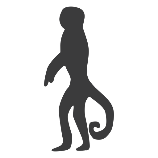 Silhueta de cauda de focinho de perna de macaco