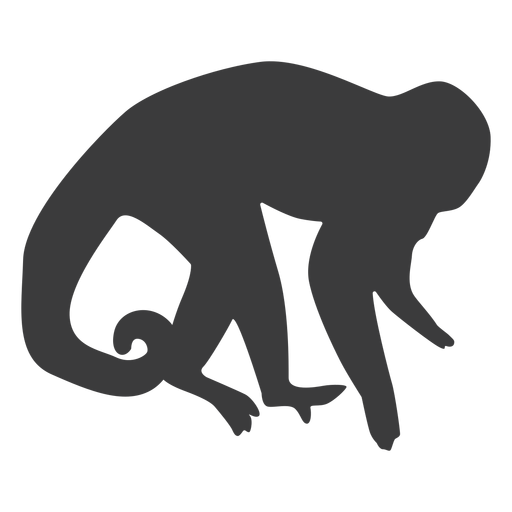 Monkey muzzle tail leg silhouette PNG Design
