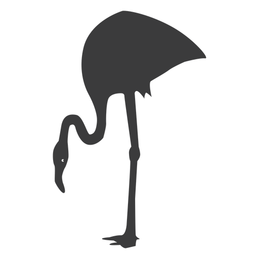 Rosa Flamingobeinschnabelschattenbildvogel PNG-Design