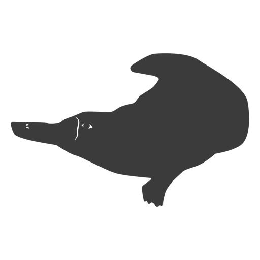 Platypus beak duckbill tail silhouette PNG Design