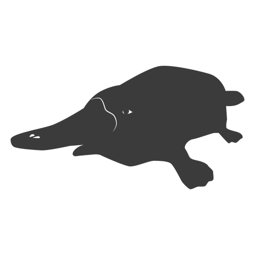 Silhueta de cauda de bico ornitorrinco Desenho PNG