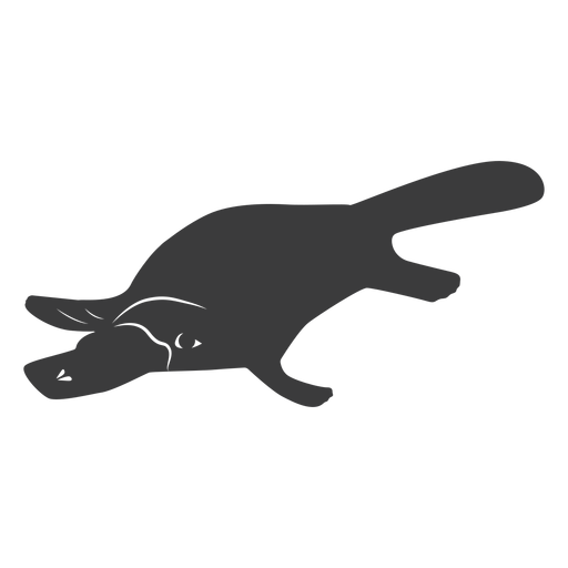 Platypus Duckbill Tail Beak Silhouette - Transparent PNG & SVG Vector File