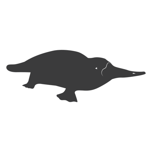 Platypus cola pico de pato silueta Diseño PNG