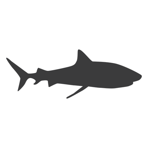 Free Free 59 Shark Svg Silhouette SVG PNG EPS DXF File