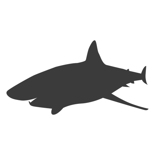 Download Shark tail fin silhouette - Transparent PNG & SVG vector file