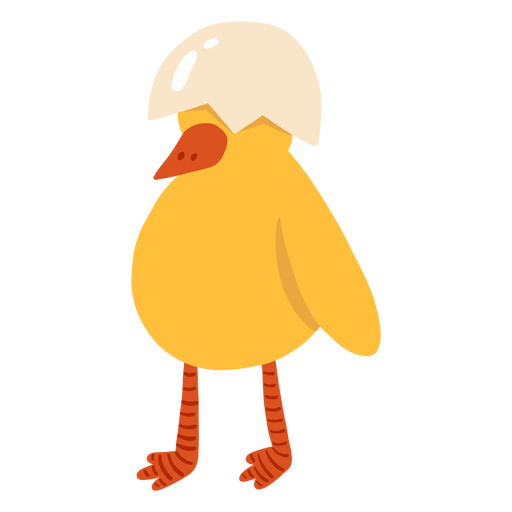 Shell chicken beak flat PNG Design