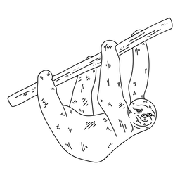 Faultierbaumklauenschlag PNG-Design
