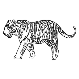Linha de cauda listrada de tigre Desenho PNG