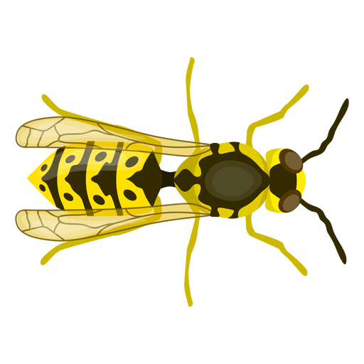 Wespenbienenstreifenflügel flach PNG-Design