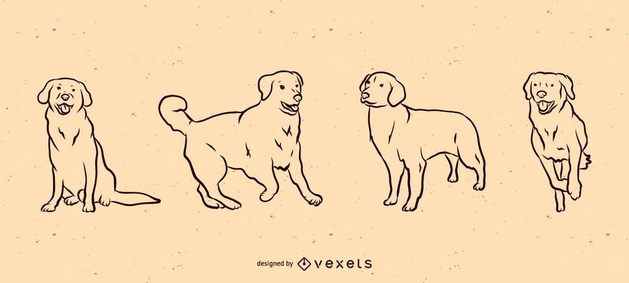 Conjunto de líneas de perro Conjunto de líneas de perro