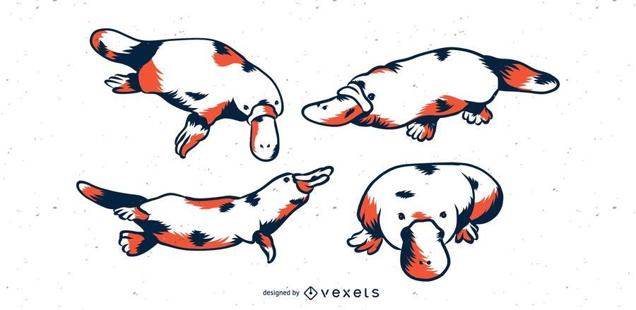Platypus duotone set Platypus duotone set