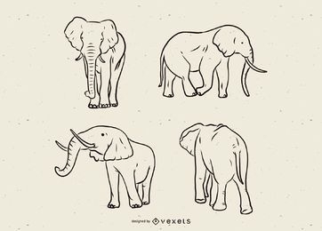 Conjunto de línea de elefante