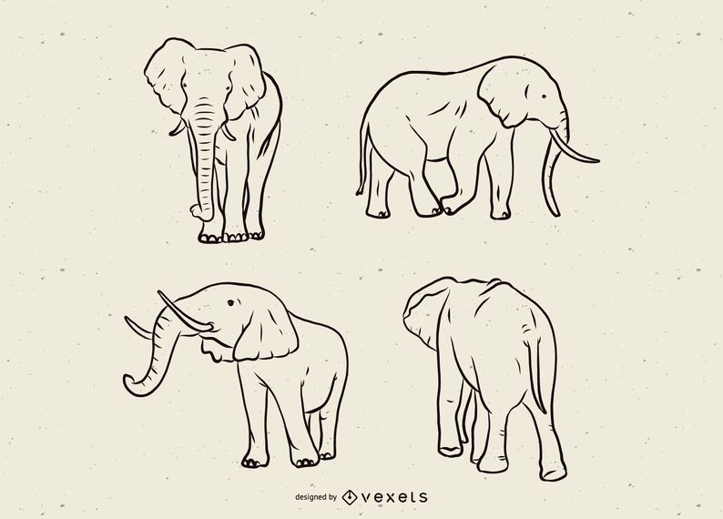 Elephant line set Elephant line set
