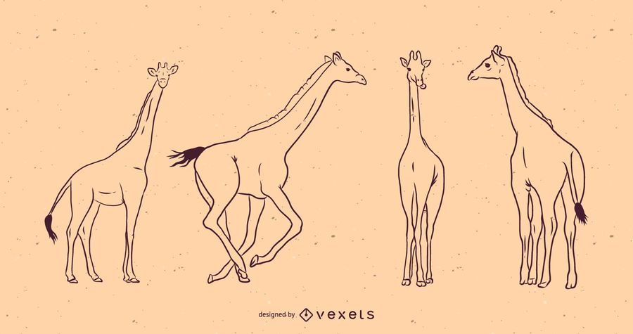 Giraffe line illustration set Giraffe line illustration set