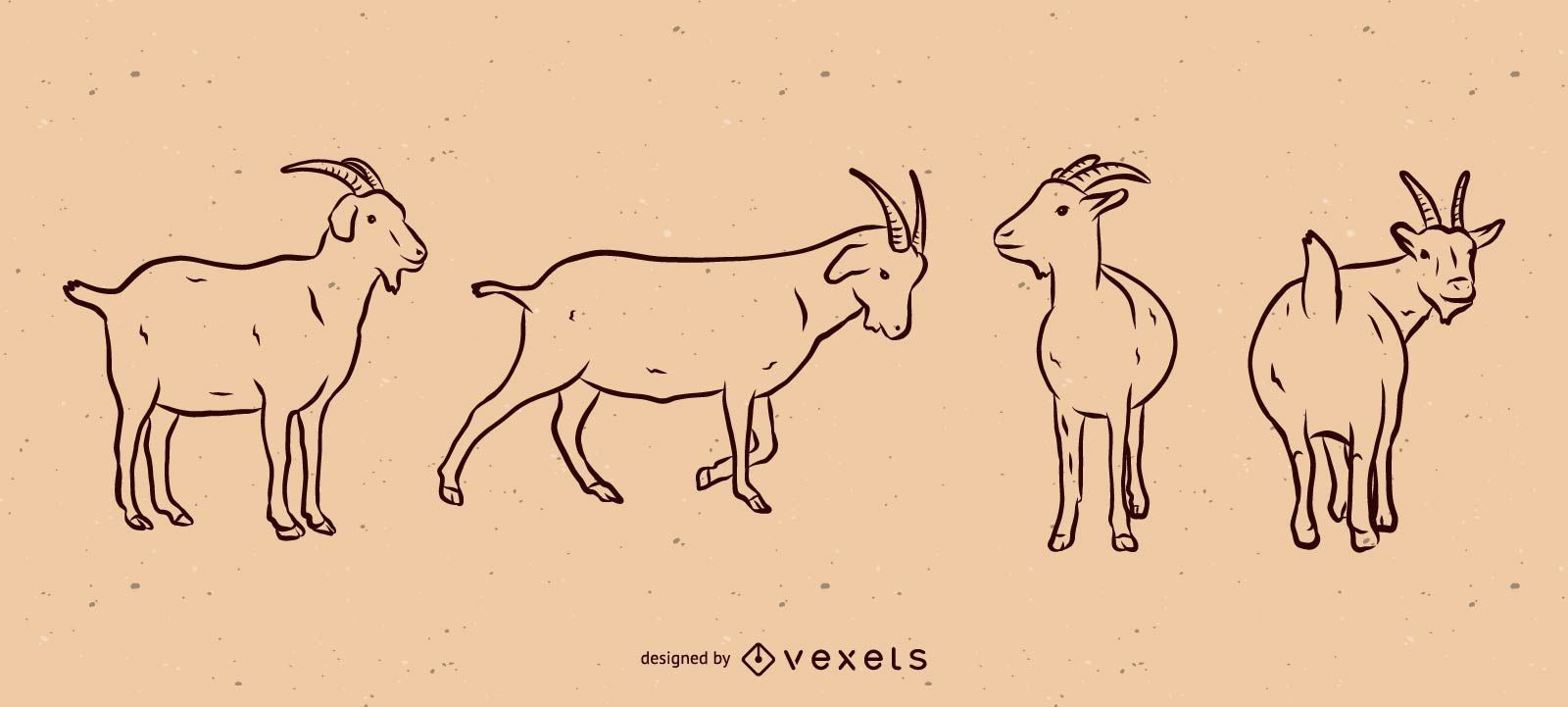 Conjunto de ilustração de linha de cabra