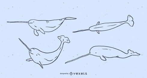 Conjunto de ilustración de línea de Narwhal Conjunto de ilustración de línea de Narwhal