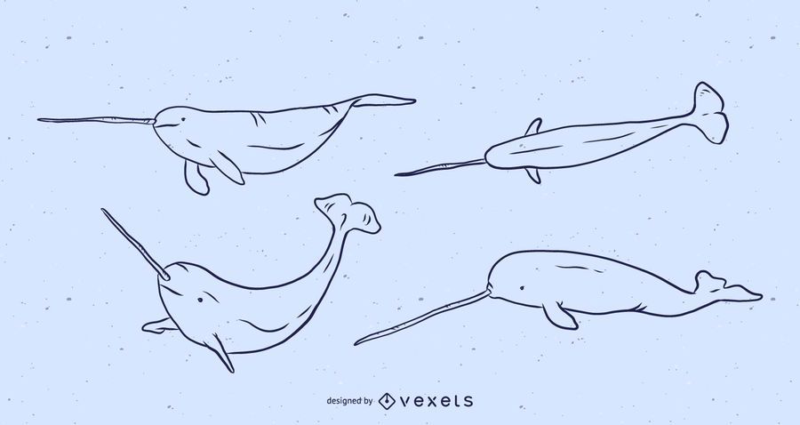 Conjunto de ilustración de línea de Narwhal Conjunto de ilustración de línea de Narwhal