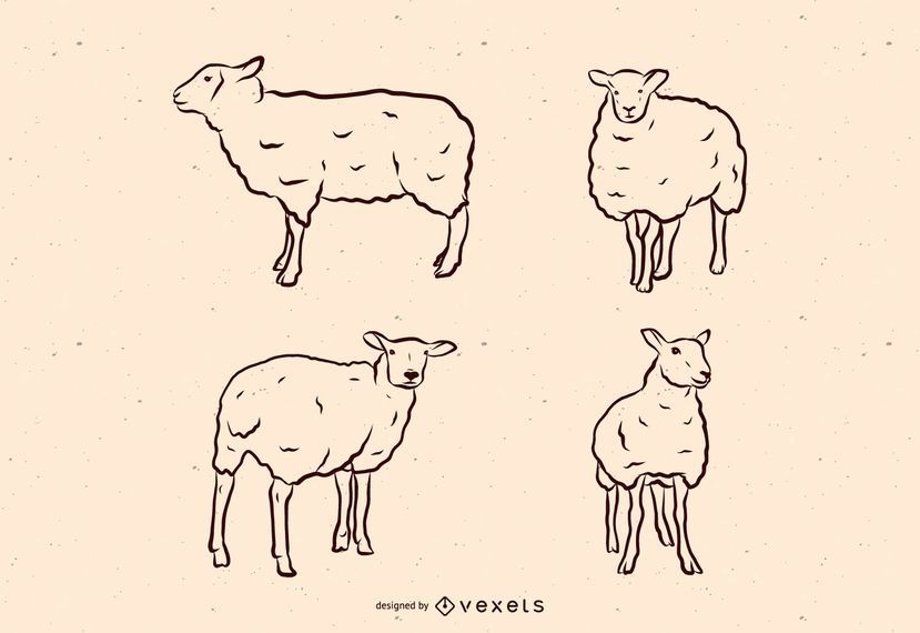 Sheep line illustration set Sheep line illustration set