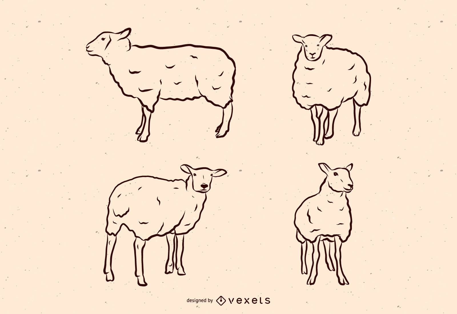 Conjunto de ilustra??o de linha de ovelhas