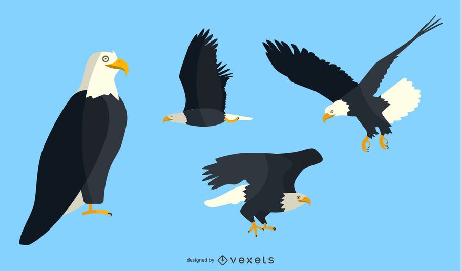 Flat Eagle Illustration Set Flat Eagle Illustration Set