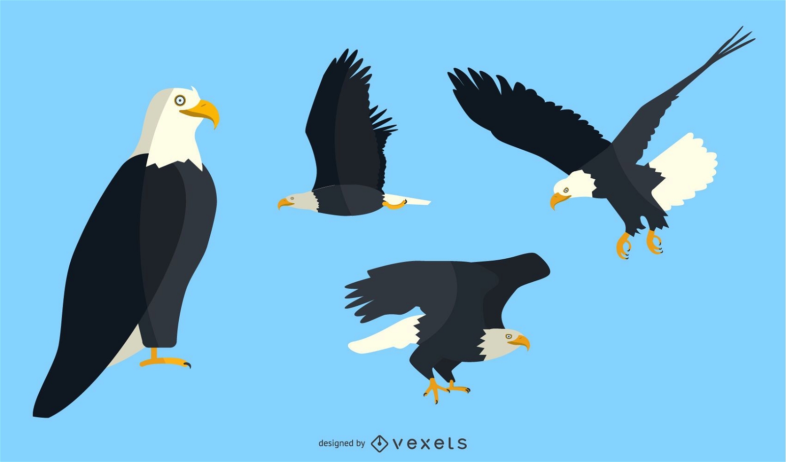 Conjunto de ilustração de águia plana